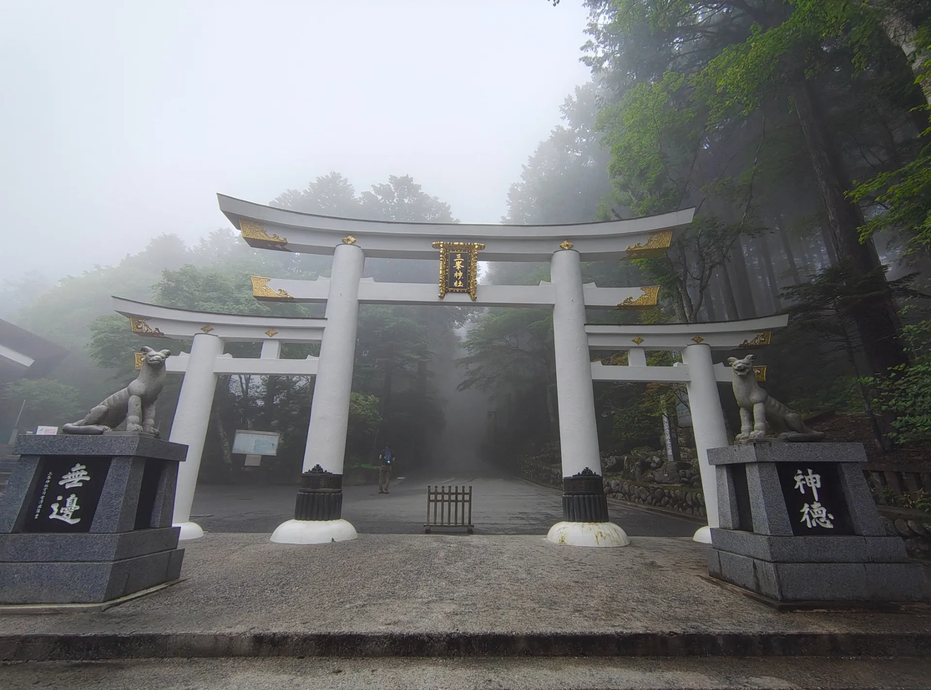 健康第一です。