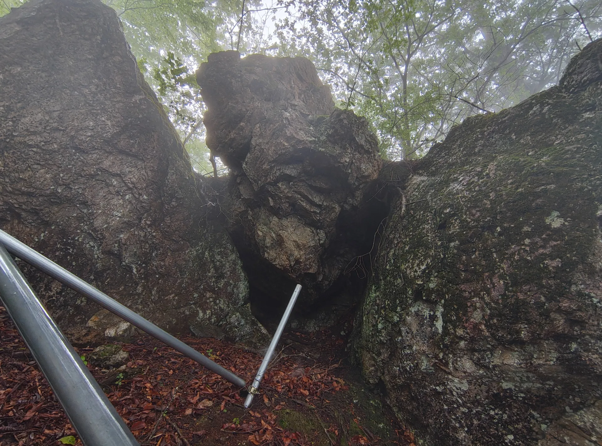 健康第一です。